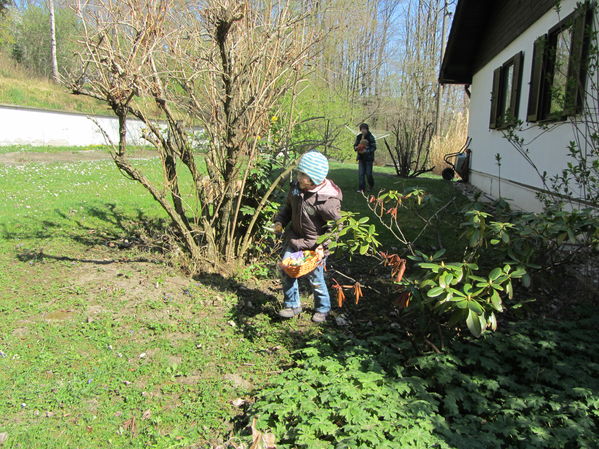 Eiersuche in Goldgeben
