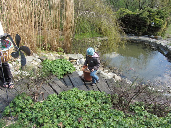 Eiersuche in Goldgeben
