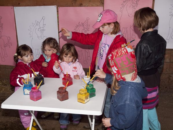 OLYMPUS DIGITAL CAMERA
