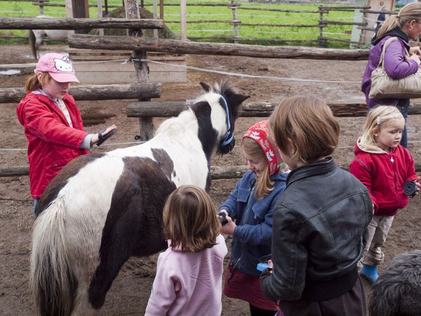 OLYMPUS DIGITAL CAMERA
