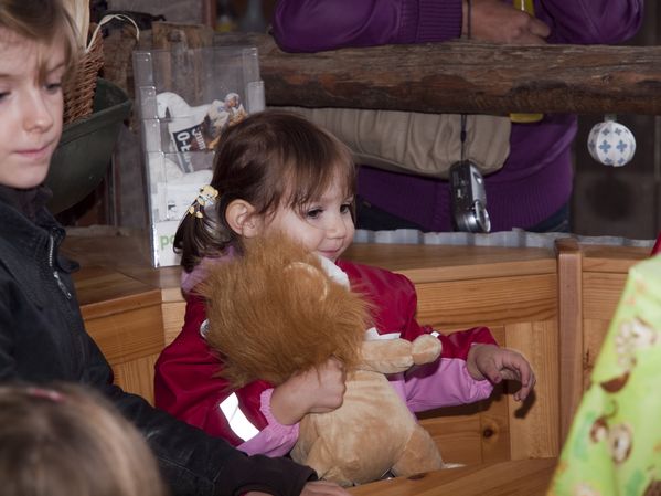 OLYMPUS DIGITAL CAMERA
