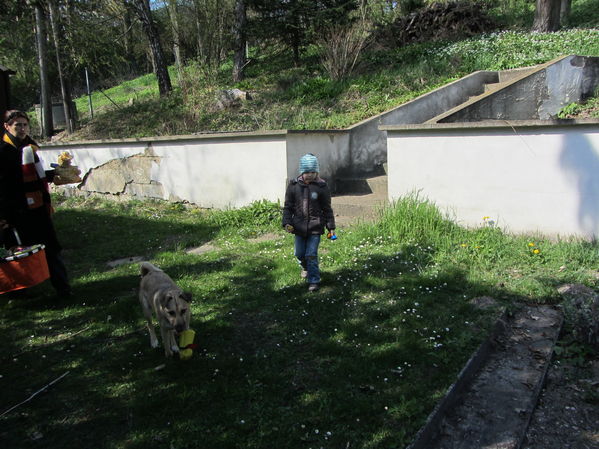 Eiersuche in Goldgeben
