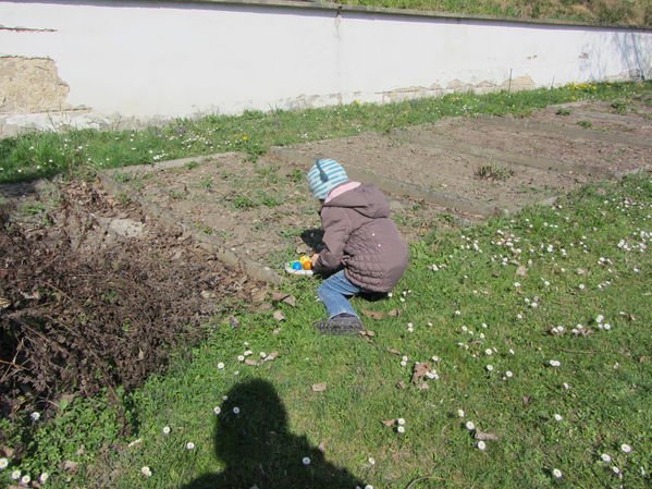 Eiersuche in Goldgeben
