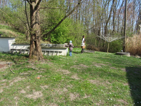 Eiersuche in Goldgeben
