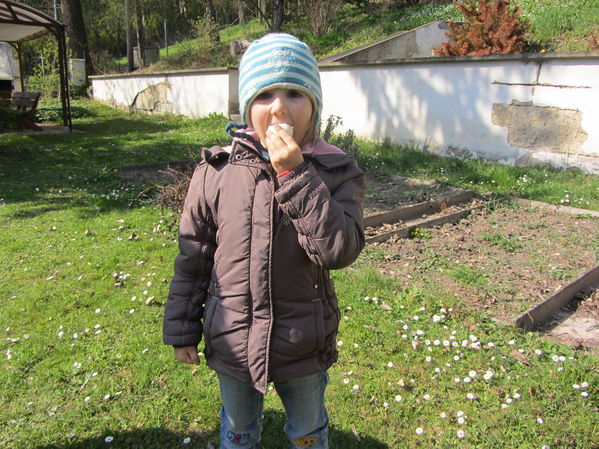 Eiersuche in Goldgeben
