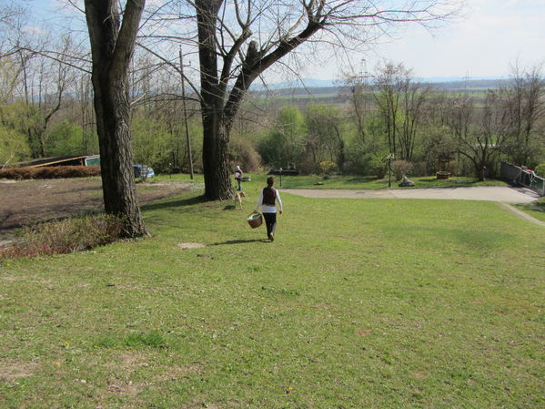 Eiersuche in Goldgeben
