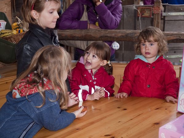 OLYMPUS DIGITAL CAMERA
